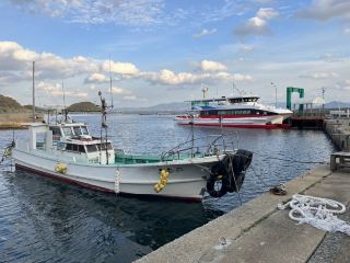[Fukuoka] Ainoshima (Cat Island).