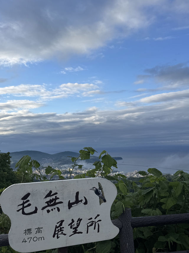 Chicken Feast With a Killer View in Otaru 🚗🐔
