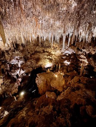 Ngilgi Cave is absolutely surreal! The dense stalactites cascading from the ceiling make you feel like you've stepped into a fantasy world.