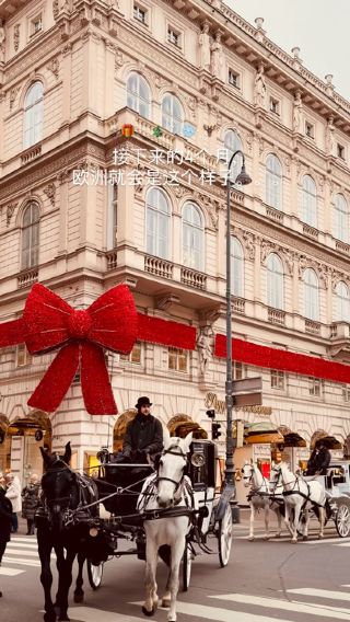 🎄✨ This is what Europe looks like for the next three months…