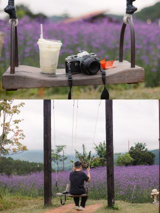 달랏의 어떤 장소들은 그저 조금 더 오래 머물고 싶게 만듭니다.