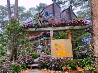 A Little Flower Garden Hidden in the Pine Forest 🌲🌸