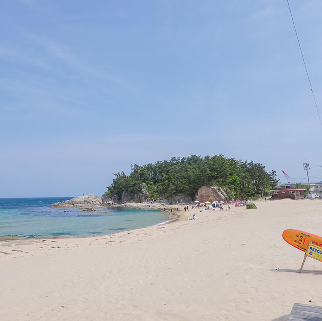 강원도 고성 송지호해수욕장에서 즐기은 서핑🏄🏻‍♀️