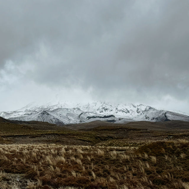 🚘🇳🇿🌄 10-Day Road Trip Through New Zealand’s North Island: An Unforgettable Adventure! 