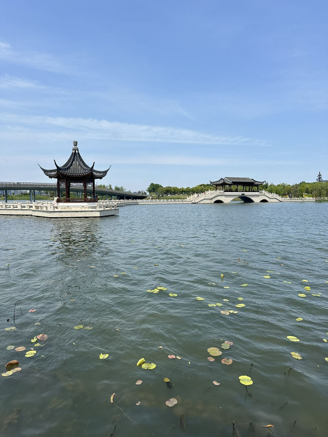 A Day at Dishui Lake 🐟