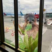 【コスタリカ】お土産天国！ファン・サンタマリーア国際空港✈️