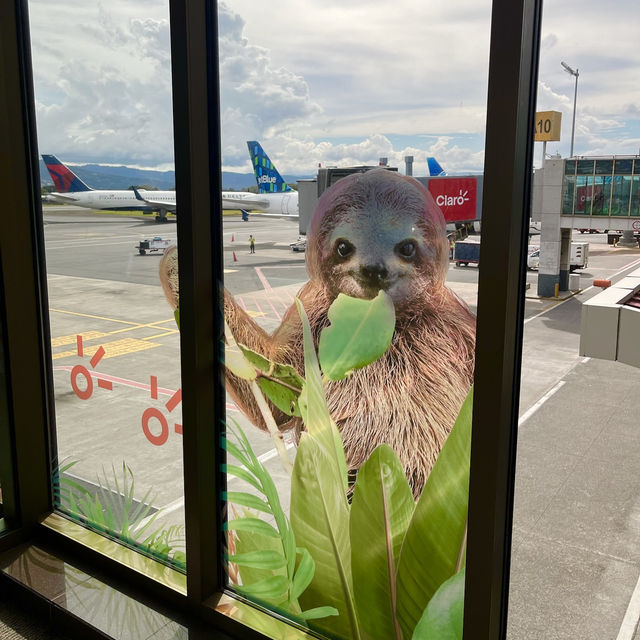 【コスタリカ】お土産天国！ファン・サンタマリーア国際空港✈️