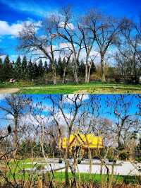 麥迪遜Olbrich Botanical Gardens (奧爾布里希植物園)