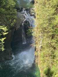 Lynn canyon park