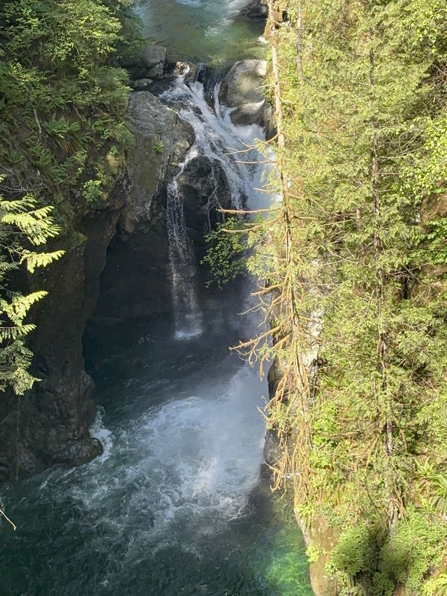 Lynn canyon park