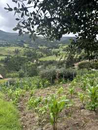 🇨🇴山に泊まる贅沢：Hostal Villa San Juan滞在記