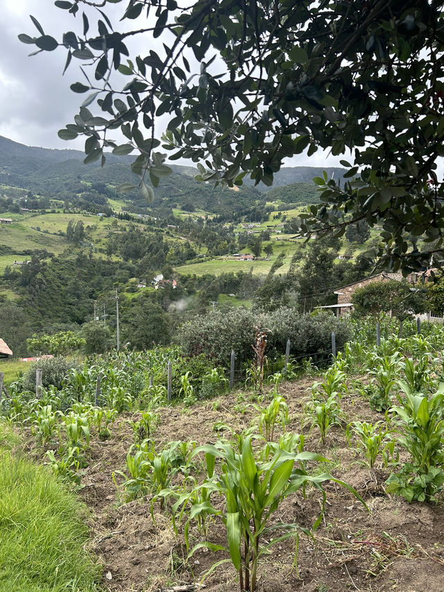 🇨🇴山に泊まる贅沢：Hostal Villa San Juan滞在記