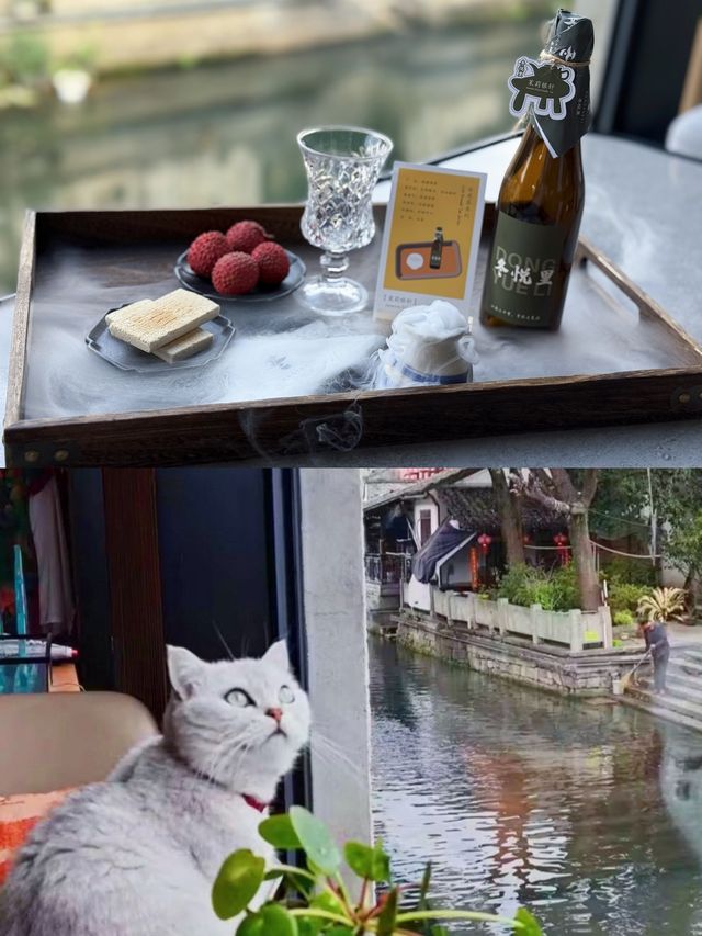 Shaoxing, China: The Ultimate Jiangnan Water Town