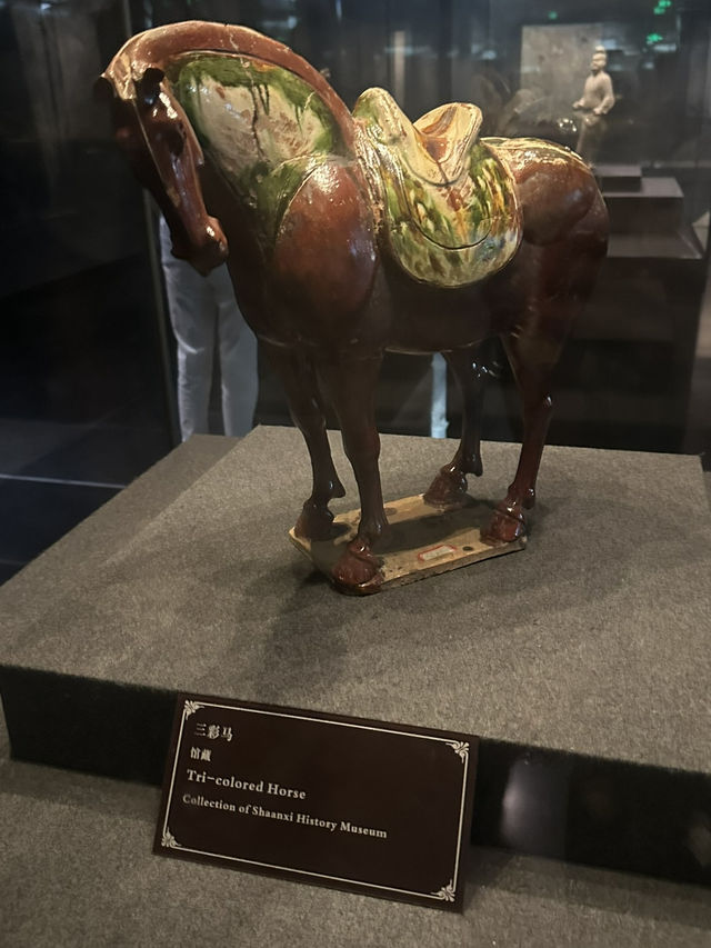  🎨 【西安陝西歷史博物館｜唐代壁畫珍品館】行入盛唐地下宮殿 🏛️💫｜史上最震撼原版壁畫展