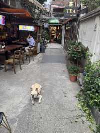 Tianzifang: Shanghai’s Hidden Artistic Gem
