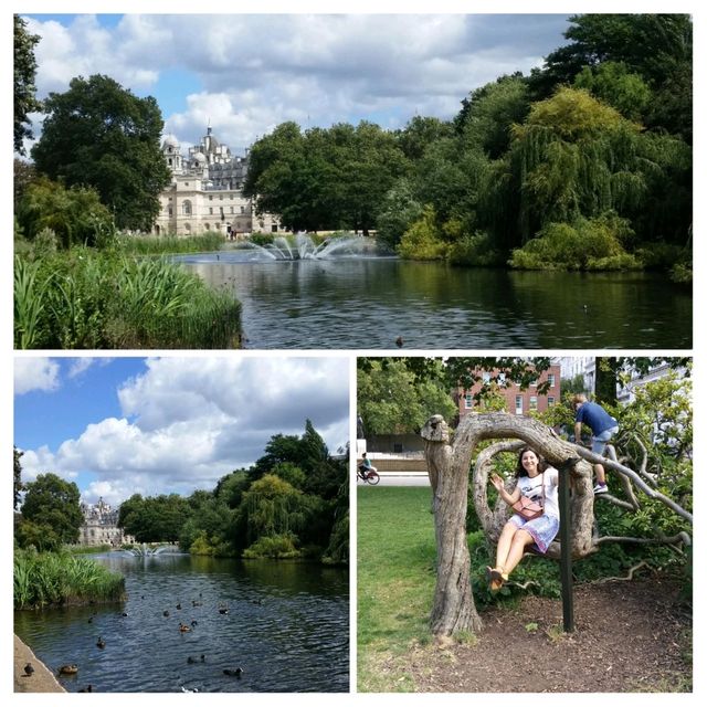 🌳 Roaming London's Serenity: St. James's Park Stroll 🌼