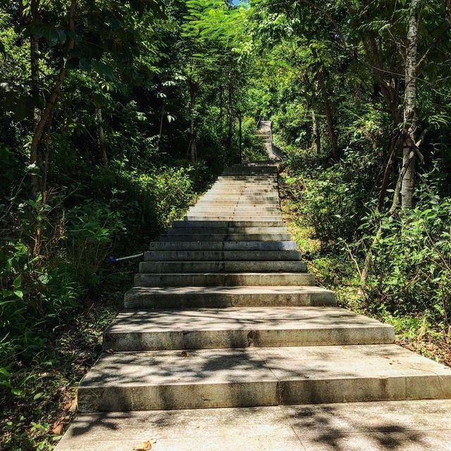 Linchunling Forest Park 🗺️