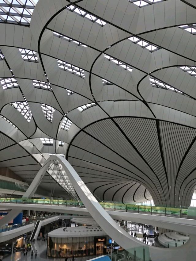 Impressive Daxing Airport  🇨🇳