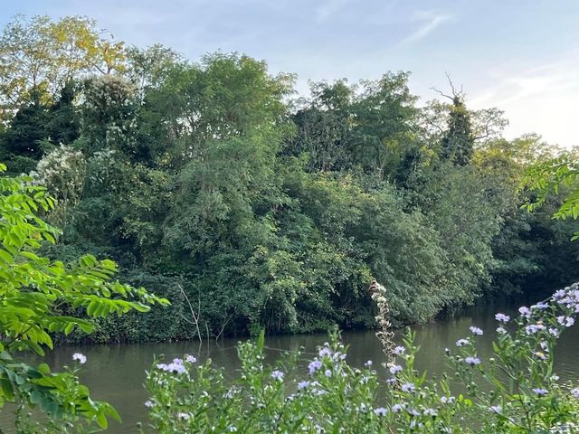 Clissold Park London 🇬🇧