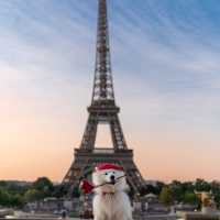 The best viewpoint to see the Eiffel Tower