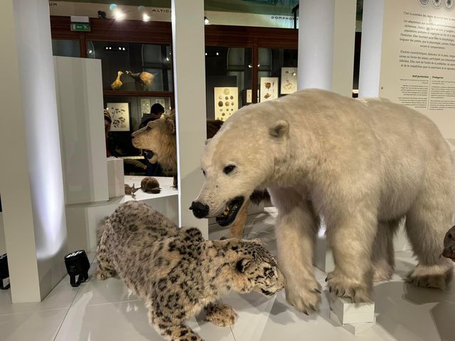 Natural History Museum of Marseille 🗺️