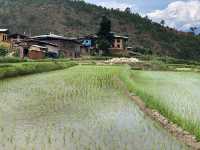 The Serene Splendor of Bhutan's Punakha Dzong