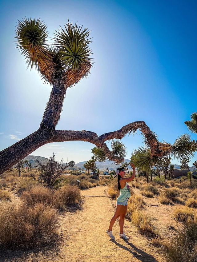 Desert View Conservation Area