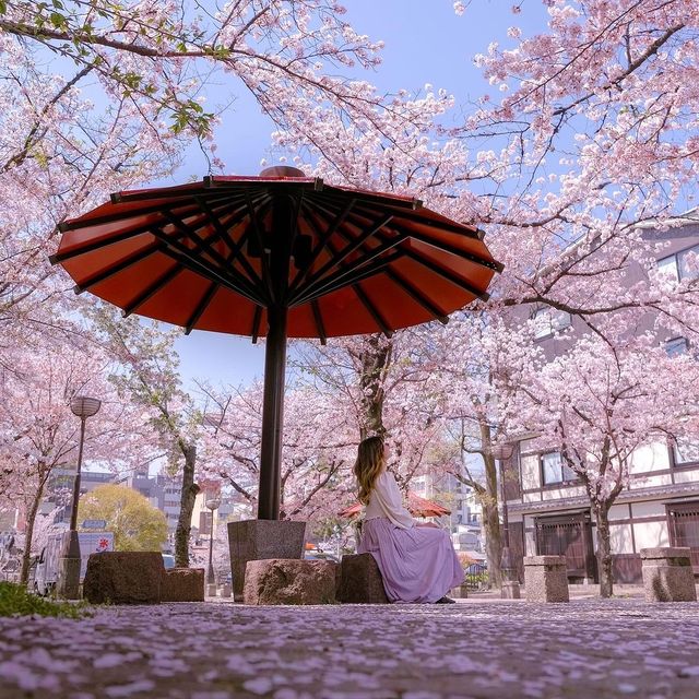 코토 시