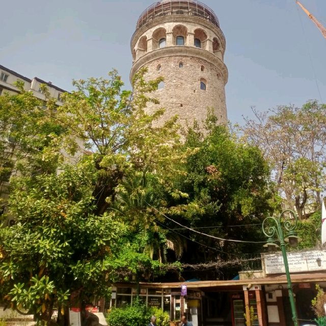 Torre Genovese