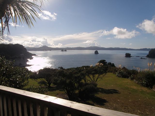 New Zealand's Urban Oasis