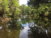 Exploring South Carolina's Historic Jewel
