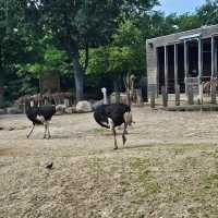 Copenhagen Zoo 🗺️
