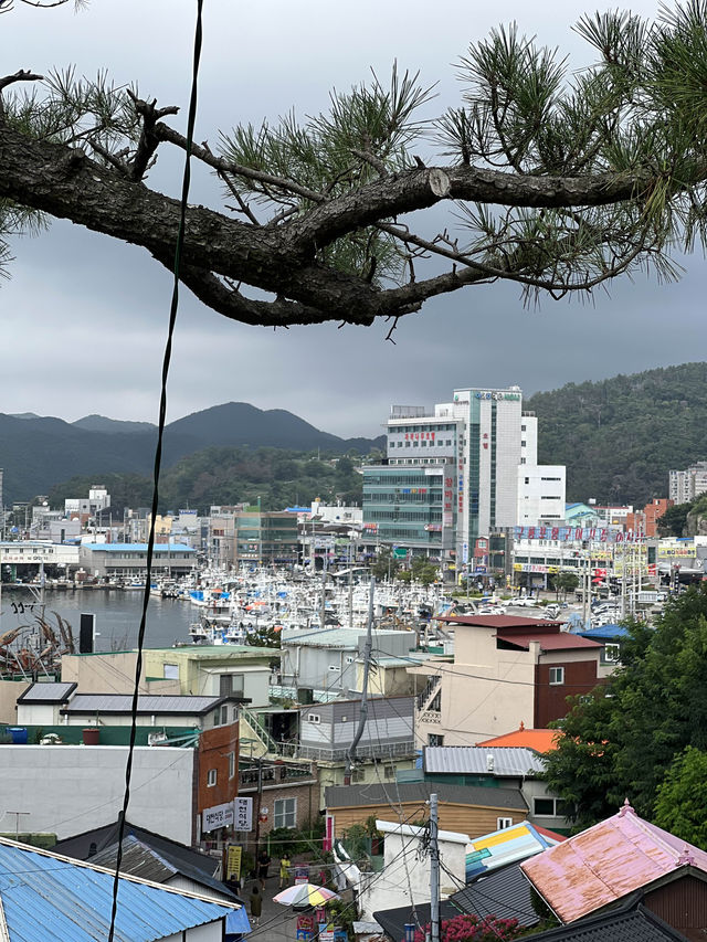 🇰🇷포항 구룡포 일본인 가옥거리