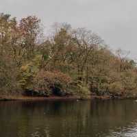 Sailing Serenity: A Lake Windermere Boat Adventure