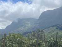 Munnar’s Cloud-Covered Hills 