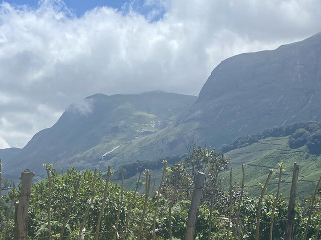 Munnar’s Cloud-Covered Hills 