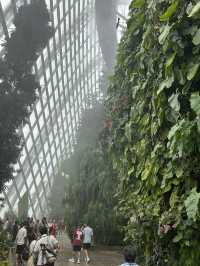 🌿✨ Cloud Forest Singapore: A Misty Wonderland in the Tropics
