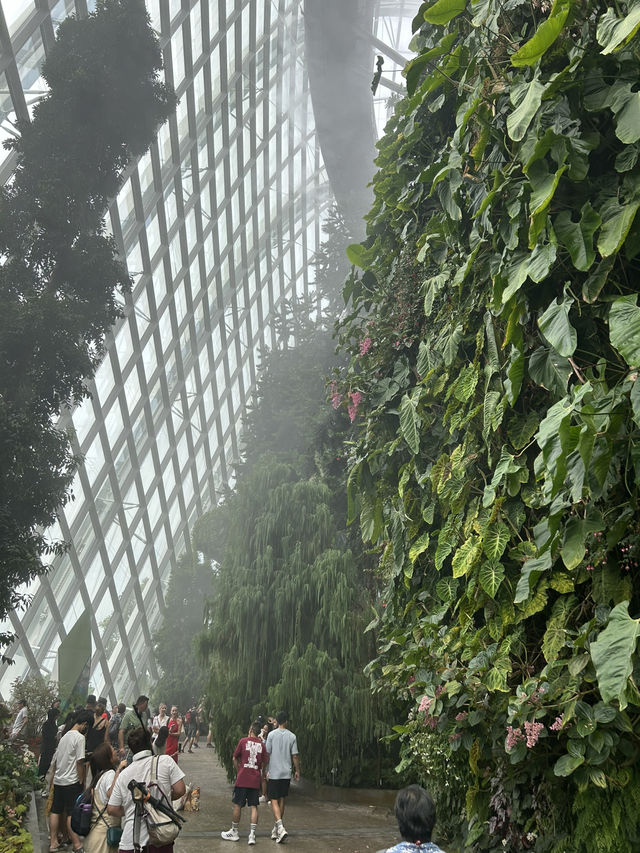 🌿✨ Cloud Forest Singapore: A Misty Wonderland in the Tropics