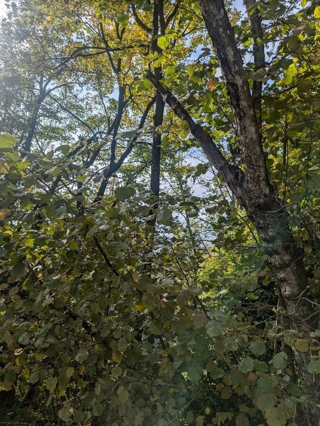 Sunday Hike 