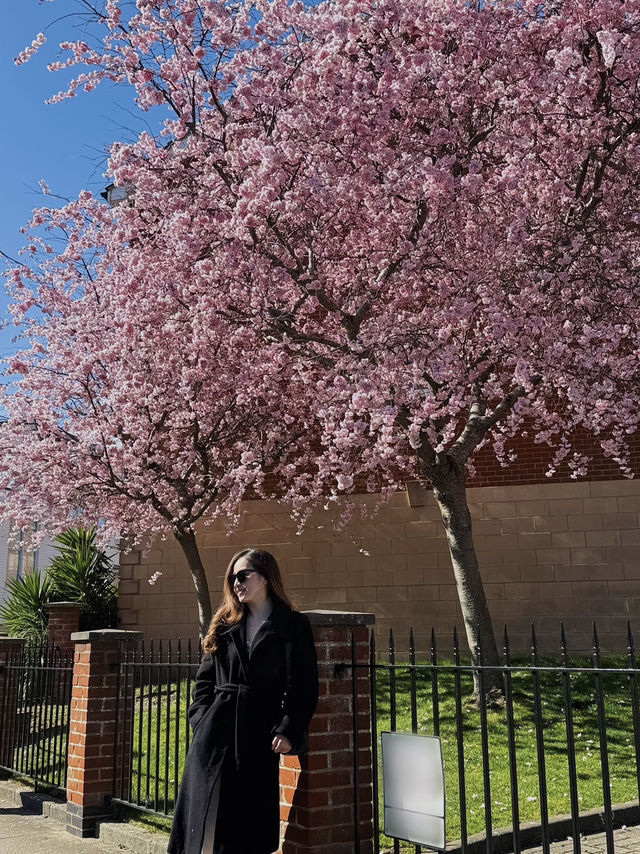 British Spring!