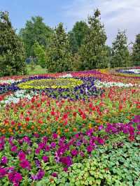Spring in Dushanbe – Monument of Ismoili Somoni in Full Bloom