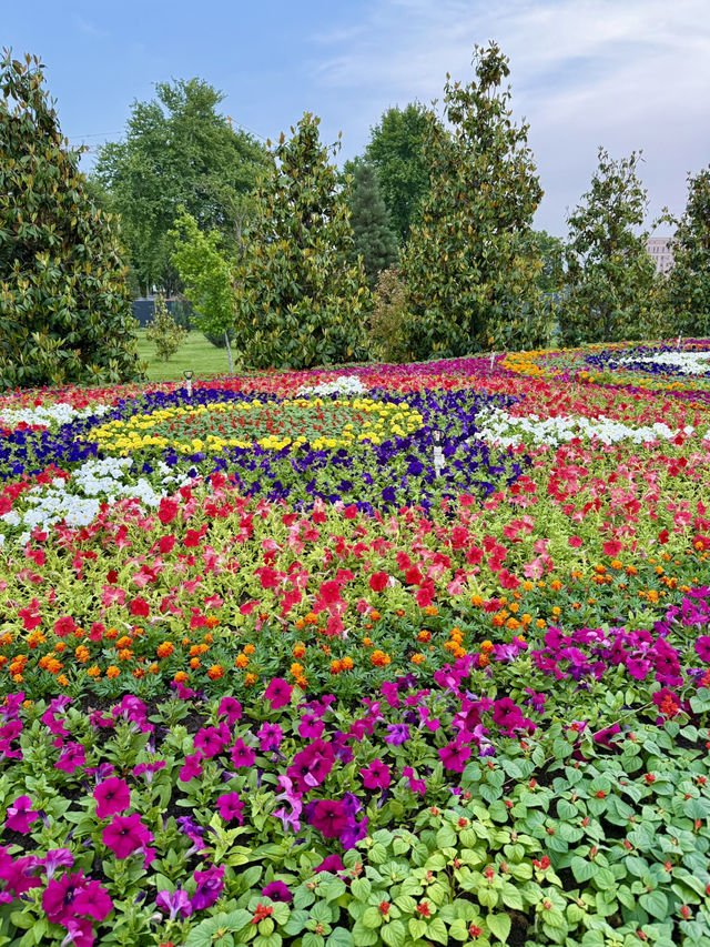 Spring in Dushanbe – Monument of Ismoili Somoni in Full Bloom
