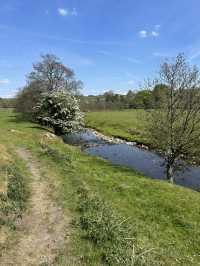 Bowland in the spring 