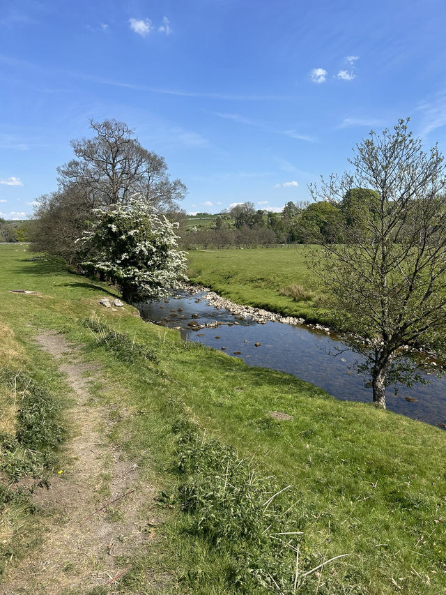 Bowland in the spring 