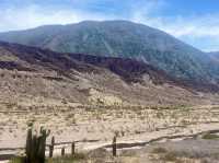 Cafayate’s Canyon Trek 