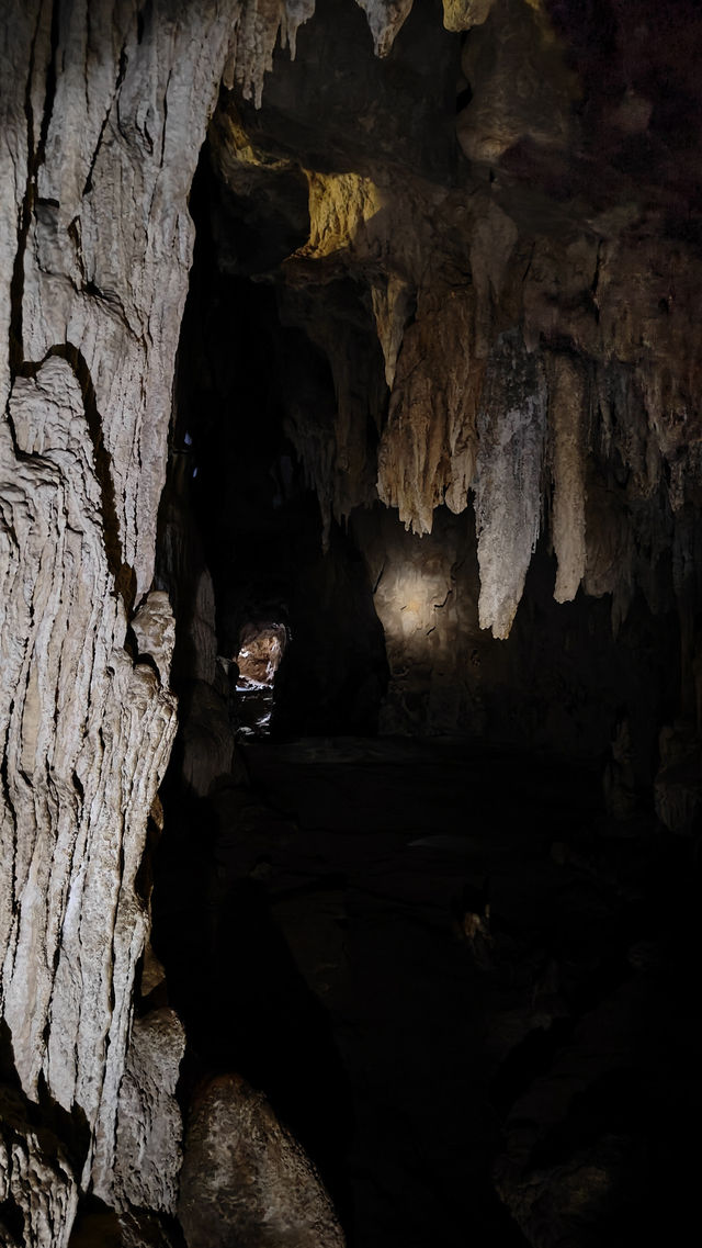 Coral Cave Exploration in Khao Sok – A Hidden Gem Inside the Jungle 🦇🌿