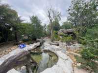 Salt hot spring in Krabi 