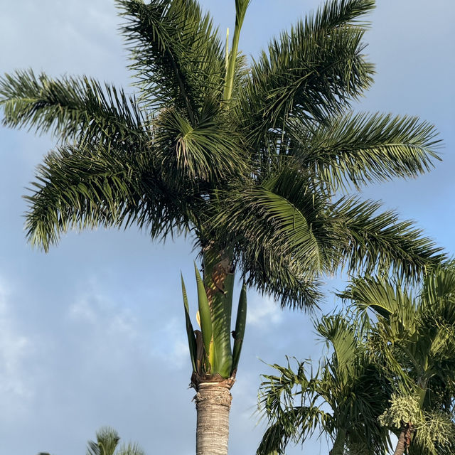 WARWICK HOTEL paradise island Nassau Bahamas 