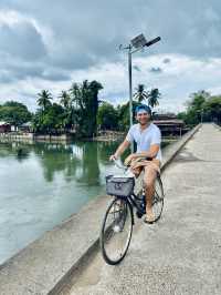 Why Renting a Bike in Vietnam Is the Best Choice for Exploring This Stunning Country