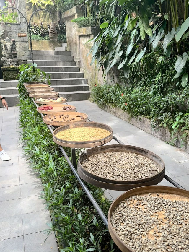 Ubud core ✨